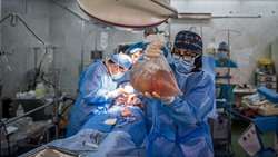 Trends in organ donation and transplantation over the past eighteen years in Iran 